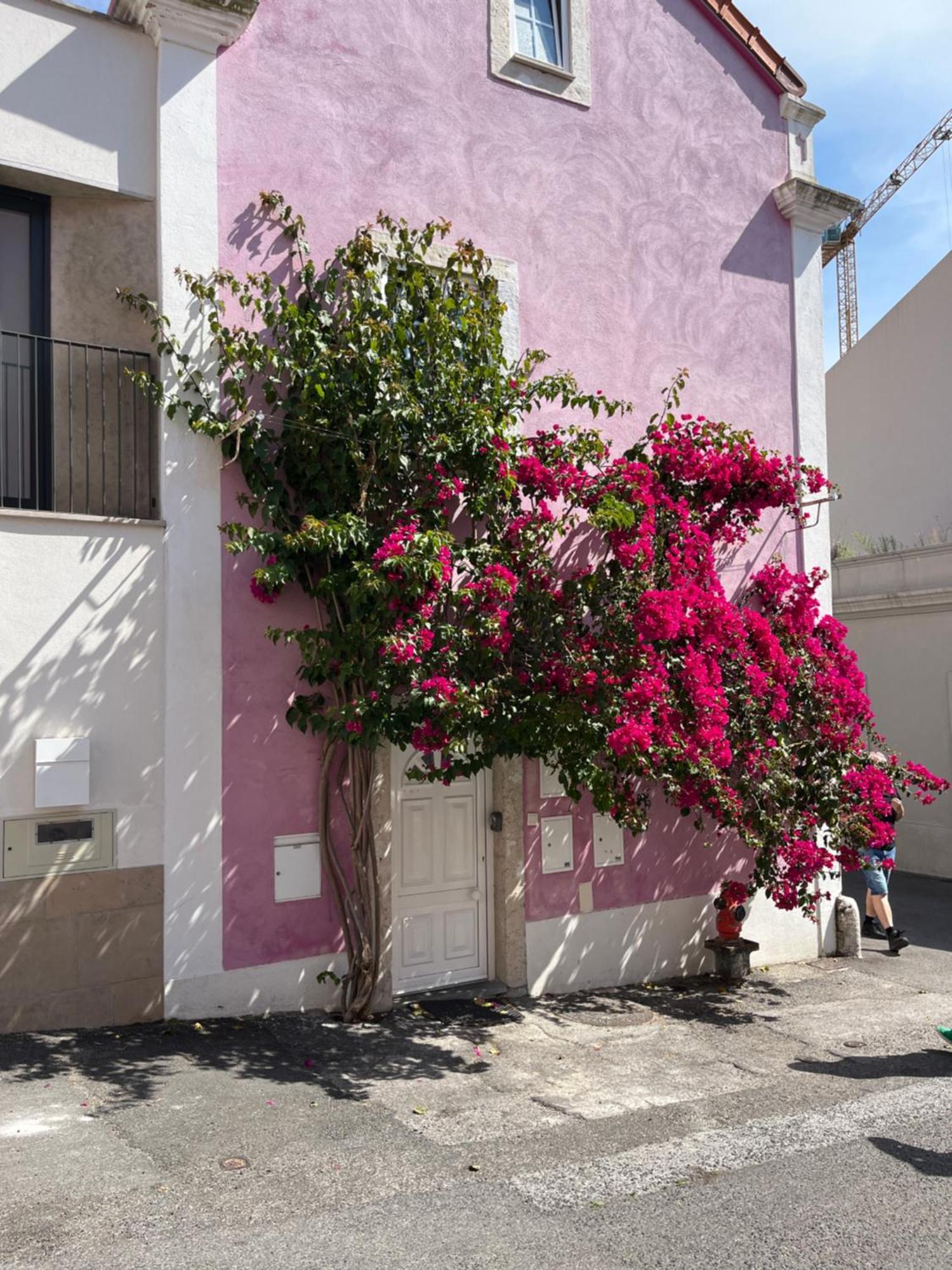 Апартаменты Casa Cor De Rosa Лиссабон Экстерьер фото